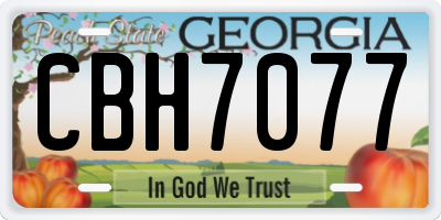 GA license plate CBH7077