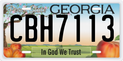 GA license plate CBH7113