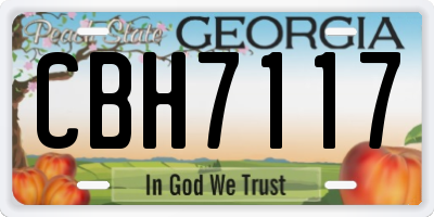 GA license plate CBH7117