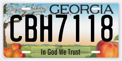 GA license plate CBH7118