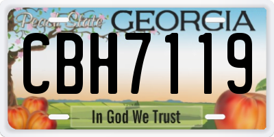 GA license plate CBH7119