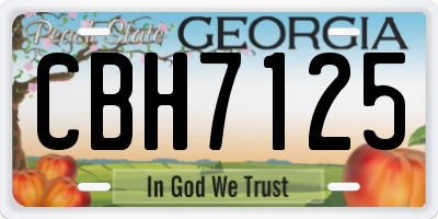 GA license plate CBH7125
