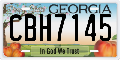 GA license plate CBH7145