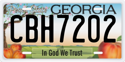GA license plate CBH7202