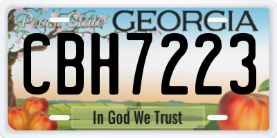 GA license plate CBH7223