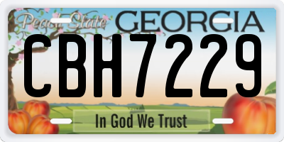 GA license plate CBH7229