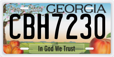 GA license plate CBH7230