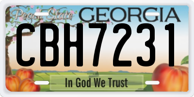 GA license plate CBH7231