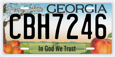 GA license plate CBH7246