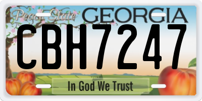 GA license plate CBH7247