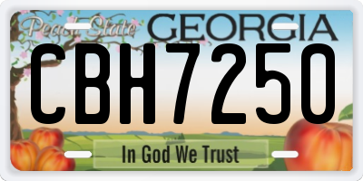 GA license plate CBH7250
