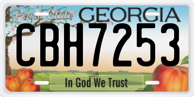 GA license plate CBH7253