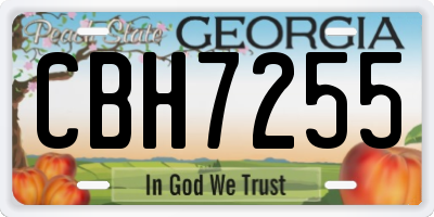 GA license plate CBH7255