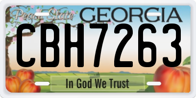 GA license plate CBH7263