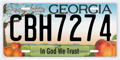 GA license plate CBH7274