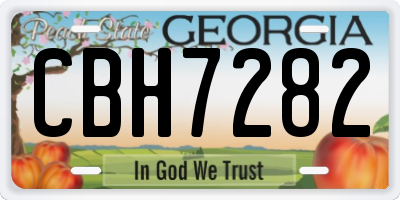 GA license plate CBH7282
