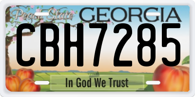 GA license plate CBH7285
