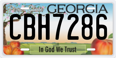 GA license plate CBH7286