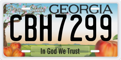GA license plate CBH7299