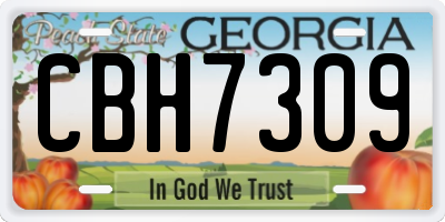 GA license plate CBH7309