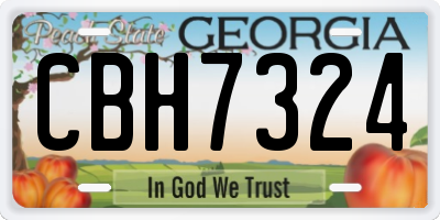 GA license plate CBH7324
