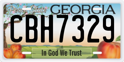 GA license plate CBH7329