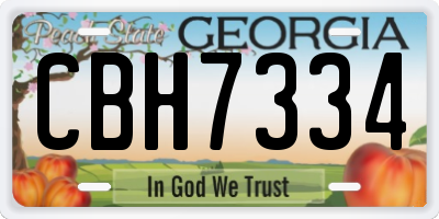 GA license plate CBH7334