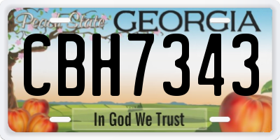 GA license plate CBH7343