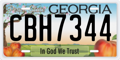 GA license plate CBH7344