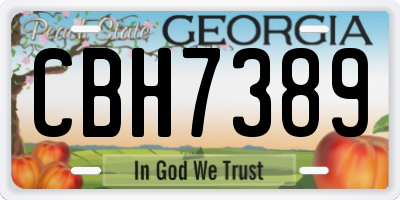GA license plate CBH7389