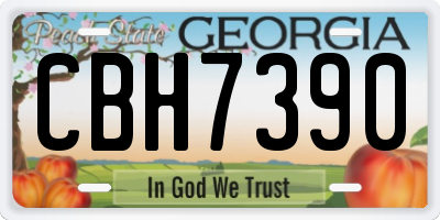 GA license plate CBH7390