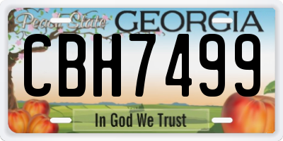 GA license plate CBH7499