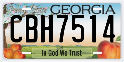 GA license plate CBH7514