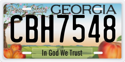 GA license plate CBH7548