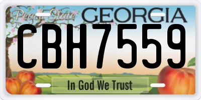 GA license plate CBH7559