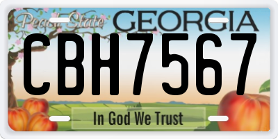 GA license plate CBH7567