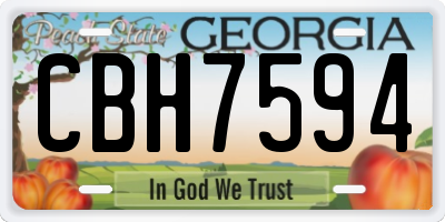 GA license plate CBH7594