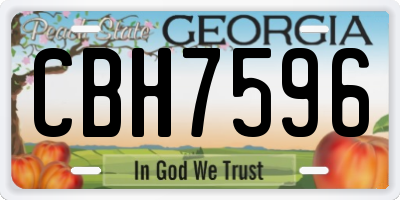 GA license plate CBH7596
