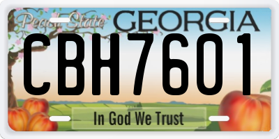 GA license plate CBH7601