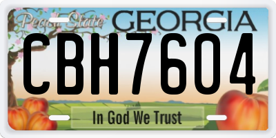 GA license plate CBH7604