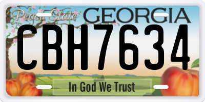 GA license plate CBH7634