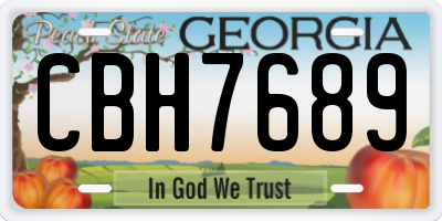 GA license plate CBH7689