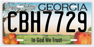 GA license plate CBH7729
