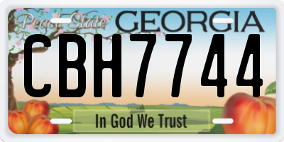 GA license plate CBH7744