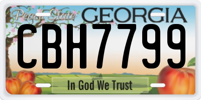 GA license plate CBH7799
