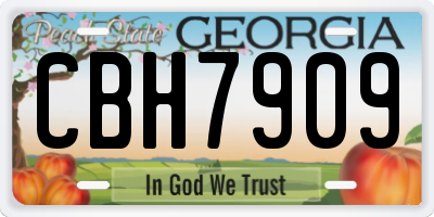 GA license plate CBH7909