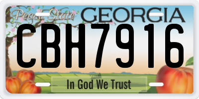 GA license plate CBH7916