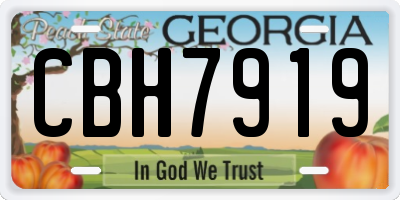 GA license plate CBH7919