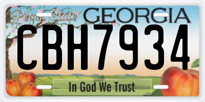 GA license plate CBH7934