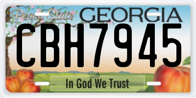 GA license plate CBH7945